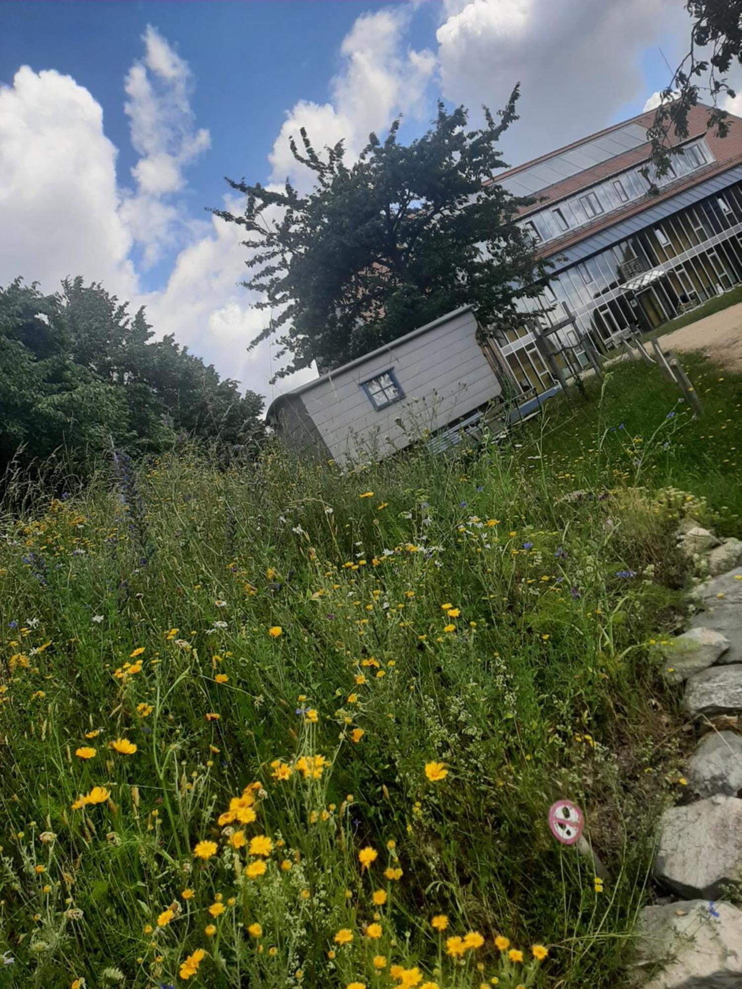 Hotel Saechsische Bildungs- Und Begegnungsstaette Windmuehle Seifhennersdorf Esterno foto